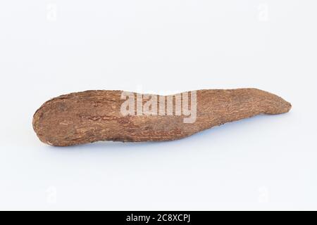 Fresh Cassava root isolated on a white background. Space for text Stock Photo