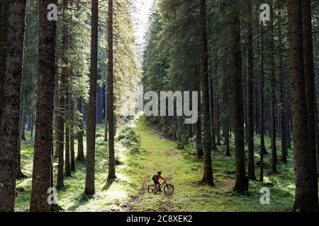 Kid cycling in the forest Stock Photo