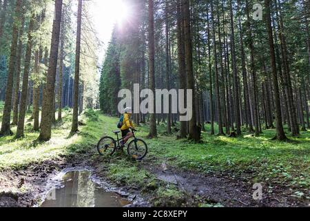 Kid cycling in the forest Stock Photo