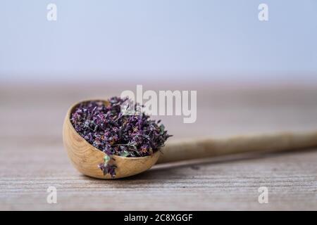 Small wooden spoon with dried flowers of oregano on a wooden background. Copy space Stock Photo