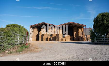 large piles of stacked straw bales in the noerth of france Stock Photo