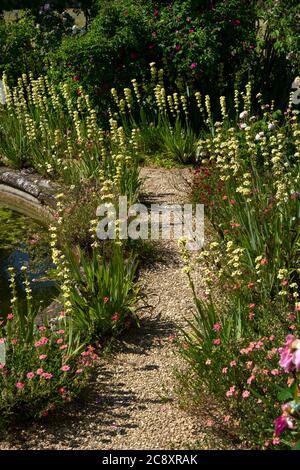 formal pond at Rousham House and Gardens,Oxfordshire,England Stock Photo