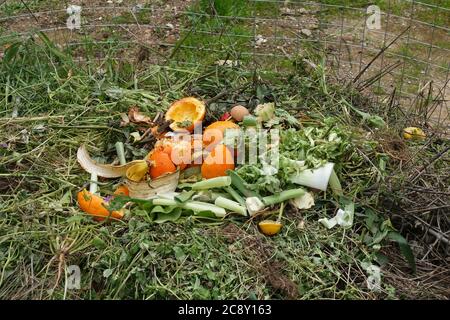 Garden weeds rotten vegetables and food scraps in compost pile. Green organic waste. Stock Photo