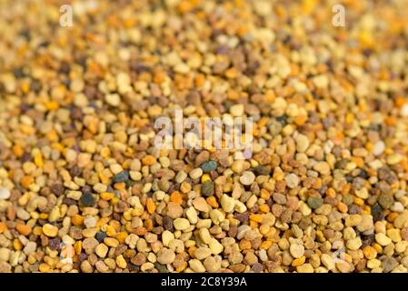 bee pollen grains closeup selective focus backround Stock Photo