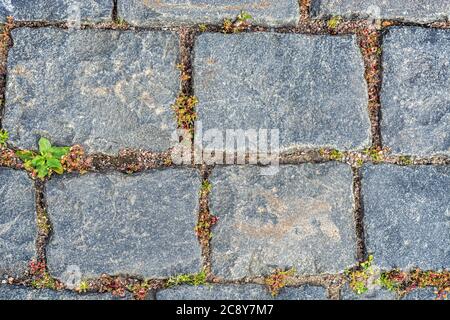 Fragment of a pavement pavement for use as an abstract background and texture Stock Photo