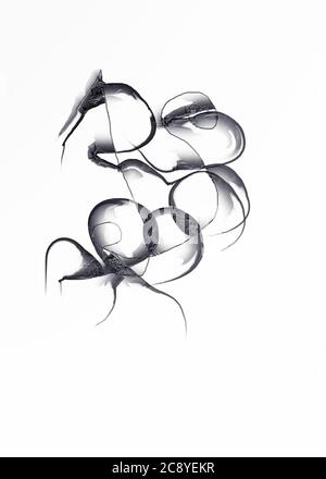 Digitally generated sketch of abstract dragon Stock Photo
