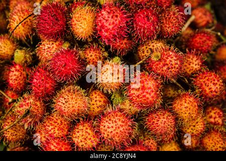 Rambutan fruit Vietnam, Southeast Asia Stock Photo