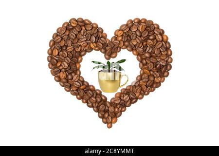 Coffee heart contains a coffee cup with coffee beans and leaves. Heart made from coffee beans. Isolated on a white background. Concept Love. Stock Photo
