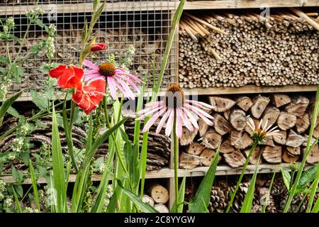 Bug shelter, bug hotel encouraging wildlife, wooden box in garden, refuge place for beneficial insects Insect hotel garden flowers Stock Photo