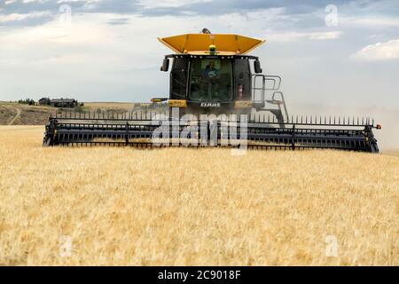 Combines work harvesting wheat in the fertile farm fields of Idaho. Stock Photo