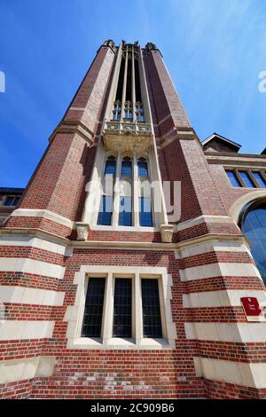 Chicago, Illinois, USA. Saieh Hall with its distinctive tower on the campus of the University of Chicago. Stock Photo