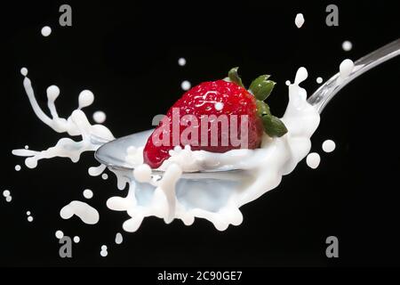 Strawberry falling into a spoon with milk and splashing on black background Stock Photo