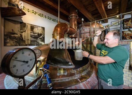 24 July 2020, Brandenburg, Potsdam: Master brewer Thomas Köhler from the Forsthaus Templin brewery stands in front of the brewing kettle and measures the original wort of the anniversary beer variety 'Potsdamer Stange 30'. For the 30th anniversary of German Unity, the anniversary beer is to be sold between 05.09. and 04.10.2020. In a first batch about 4000 litres of the beer were mashed in. For the first time, natural umbel hops from the Potsdam Lustgarten were used. Its first harvest was last autumn, after which the hops were frozen. Photo: Soeren Stache/dpa-Zentralbild/ZB Stock Photo