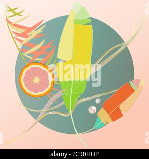 vector abstract illustration of tropical leaves with pearls and slice of orange Stock Vector