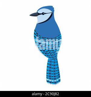 Blue Jay bird Vector Illustration, bird vector Stock Vector