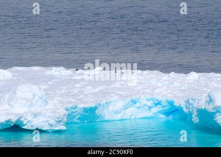 An iceberg floating in the cold waters of the Antarctic Peninsula, Antarctica Stock Photo
