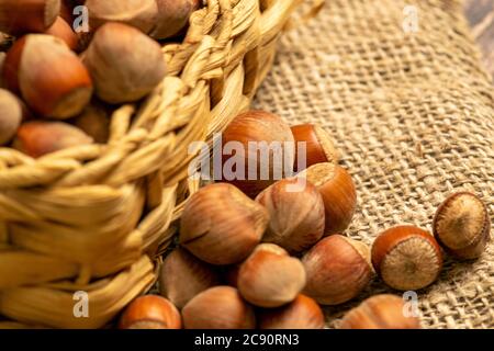 Hazelnuts in a wicker basket and hazelnuts scattered on a background of homespun fabric with a rough texture. Close up Stock Photo