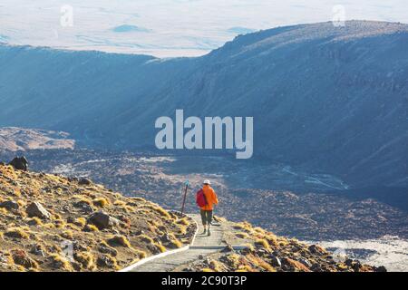 Man walking on hike trail route with New Zealand volcano,  Tramping, hiking, travel in New Zealand. Stock Photo