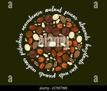 Vector illustration with assorted nuts in flat style Stock Vector