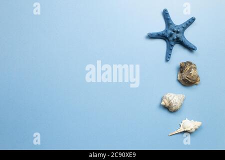Shellfish and starfish on blue background. summer marine decoration. flat lay, top view, copy space Stock Photo
