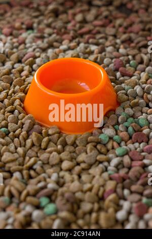 Empty plastic bowl surrounded by dry pet food Stock Photo