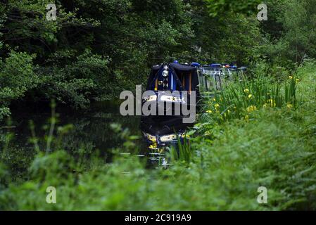 A boat taken on the beautiful Basingstoke Canal near Woking in Surrey Stock Photo