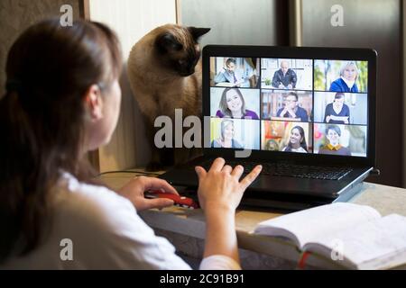 Back view of a business woman at home talking with her colleagues about a plan in a video conference. Multiethnic business team using laptop for onlin Stock Photo
