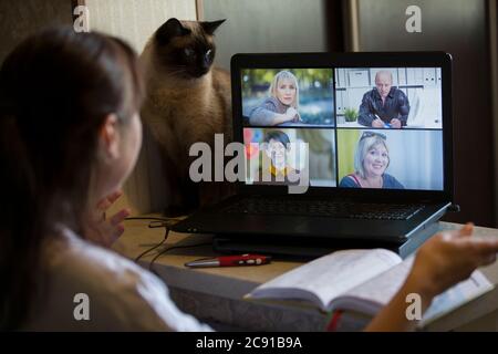 Back view of a business woman talking with her colleagues about an outline in a video conference. Business team using laptop for online meeting in vid Stock Photo