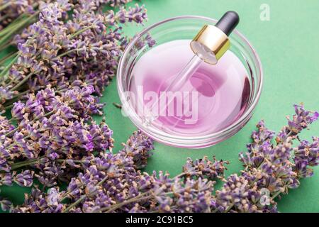 Lavender oil liquid with dropper pipette fresh lavender flowers on green color background. Natural body skin hair care bath products. Aromatherapy Stock Photo