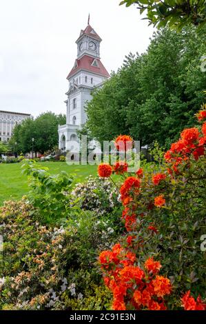 Corvallis, Oregon, USA - May 11, 2015: Orange flowers in a garden on the grounds of the Benton County Courthouse Stock Photo