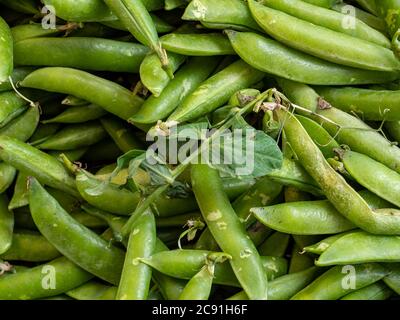 fresh green beans background texture Stock Photo