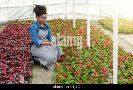 Quality control in greenhouse. Smiling girl farmer looking at tablet in greenhouse Stock Photo