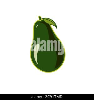 Avocado vector isolated on white backgroud. Green avocado whole with leaf. Vector hand drawn vegetarian illustration. Stock Vector