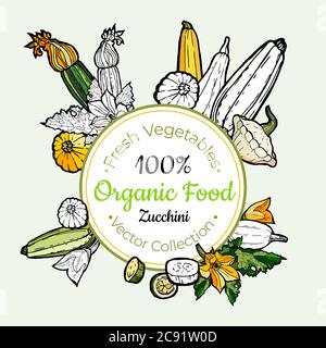 Zucchini vegetable groceries vintage vector sticker, poster, label template. Hipster fresh food hand drawn illustration Stock Vector