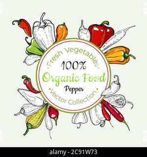 Sweet pepper vegetable groceries vintage vector sticker, poster, label template. Fresh food line hand drawn illustration Stock Vector