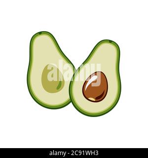 Avocado vector isolated on white backgroud. Green avocado cut in half, with seed. Vector drawn vegetarian illustration. Stock Vector