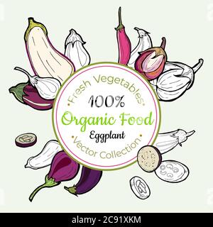 Eggplant vegetable groceries vintage vector sticker, poster, label template. Hipster fresh food hand drawn illustration Stock Vector