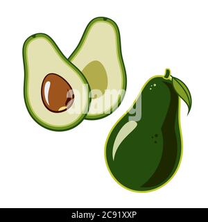 Avocado vector isolated on white backgroud. Green avocado whole, cut in half with leaf and seed. Vegetarian illustration Stock Vector