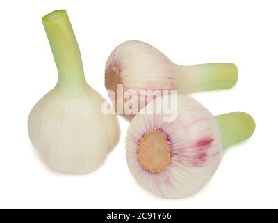 Fresh young garlic isolated on white background Stock Photo