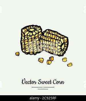 Sweet corn, corncobs, maize isolated groceries vector. Fresh food line hand drawn illustration. Sweet corn yellow Stock Vector