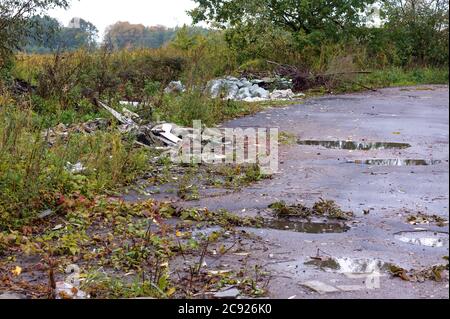 garbage dump in the forest, human pollution Stock Photo - Alamy