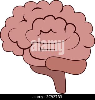 brain human organ line and fill style Stock Vector Image & Art - Alamy