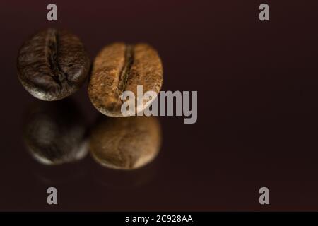 Two roasted coffee beans in a row, horizontal. Extreme close up, macro photography, selective focus. Stock Photo