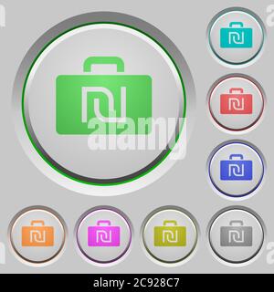 Israeli new Shekel bag color icons on sunk push buttons Stock Vector
