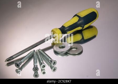 Screwdriver and wood screws isolated on gray background. mirror reflection Stock Photo