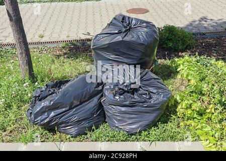 Green trash in the bags for recycling Stock Photo