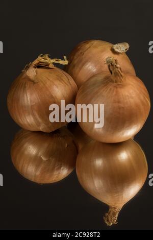 Three whole onion on a background. Studio photography Stock Photo