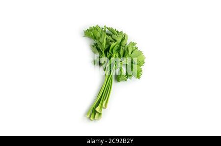 Greenery. Sprigs of parsley on a white background. Macro photo. Stock Photo