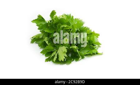 Greenery. Sprigs of parsley on a white background. Macro photo. Stock Photo