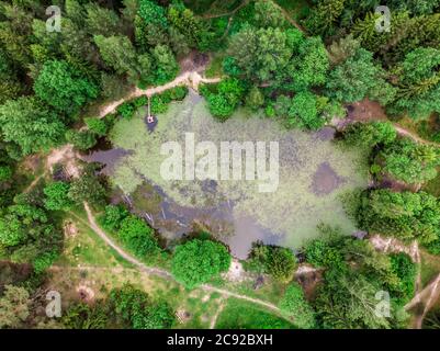 Beautiful girl sits on the pier at forest lake in natural reserve near Minsk, Belarus. Stock Photo